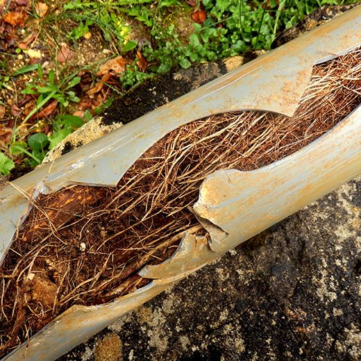 The Drain & Sewer Professionals In Reynella